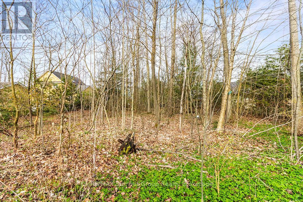 202 Lakeshore Boulevard, Grey Highlands, Ontario  N0C 1E0 - Photo 12 - X11888438