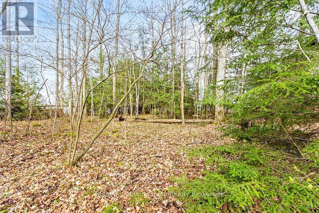 202 Lakeshore Boulevard, Grey Highlands, Ontario  N0C 1E0 - Photo 13 - X11888438