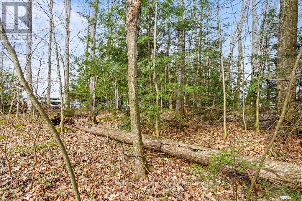 202 Lakeshore Boulevard, Grey Highlands, Ontario  N0C 1E0 - Photo 14 - X11888438