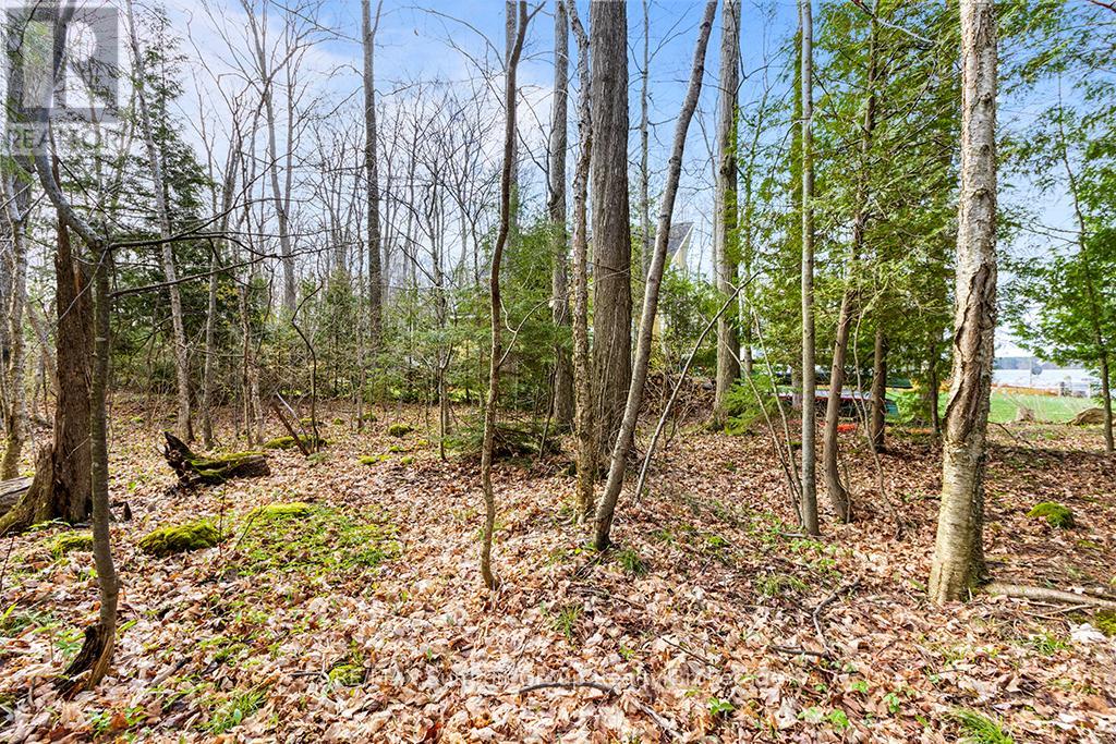 202 Lakeshore Boulevard, Grey Highlands, Ontario  N0C 1E0 - Photo 16 - X11888438