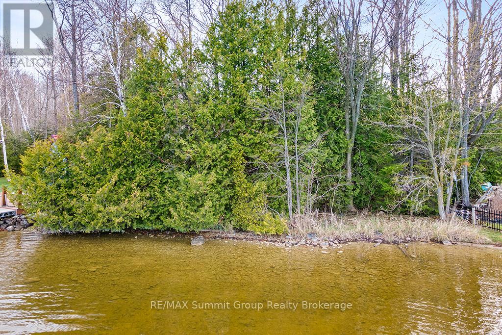 202 Lakeshore Boulevard, Grey Highlands, Ontario  N0C 1E0 - Photo 4 - X11888438