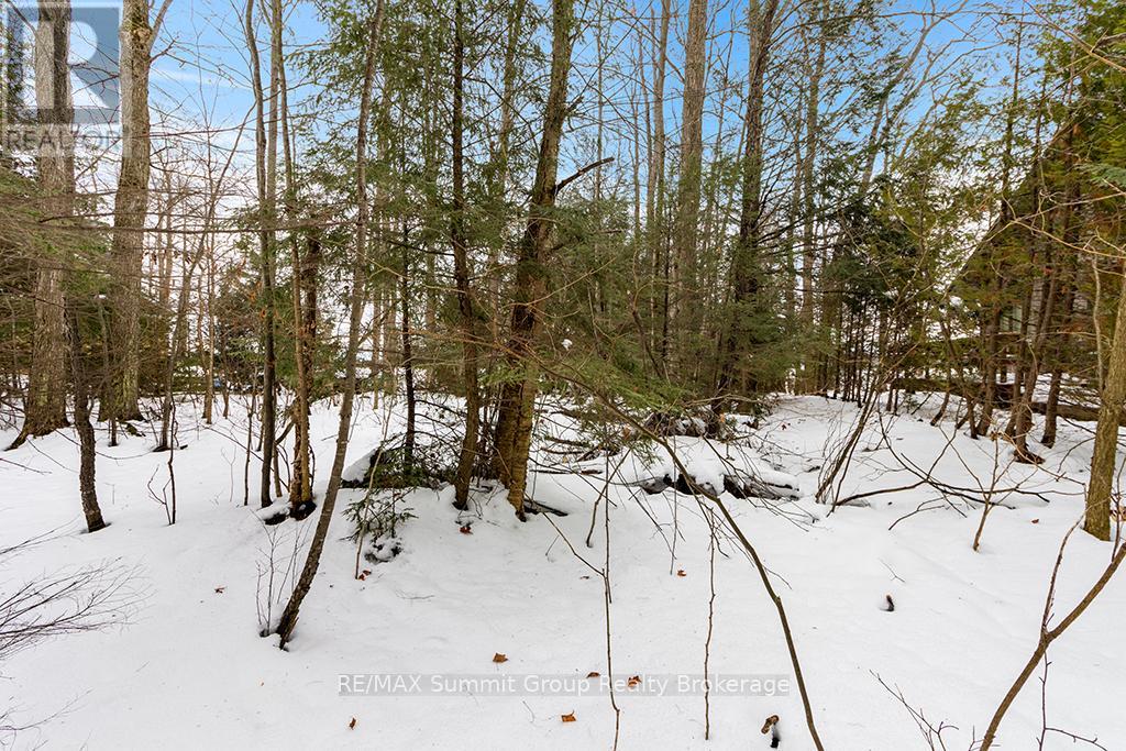 202 Lakeshore Boulevard, Grey Highlands, Ontario  N0C 1E0 - Photo 8 - X11888438