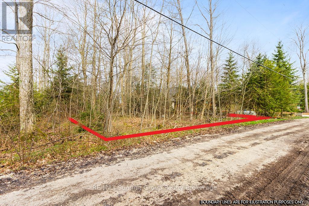 202 Lakeshore Boulevard, Grey Highlands, Ontario  N0C 1E0 - Photo 9 - X11888438