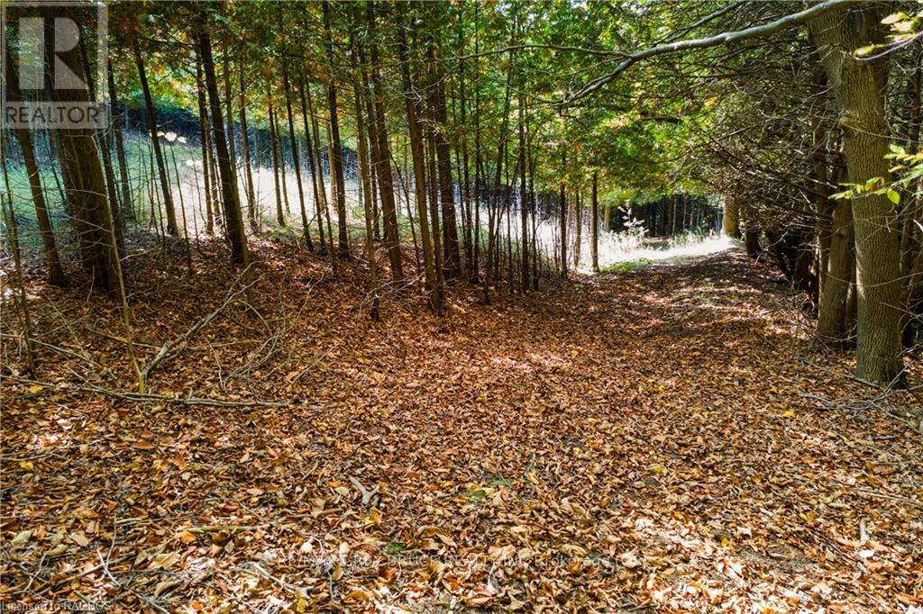 3476 Garden Of Eden Road, Clearview, Ontario  L0M 1G0 - Photo 19 - S11879920