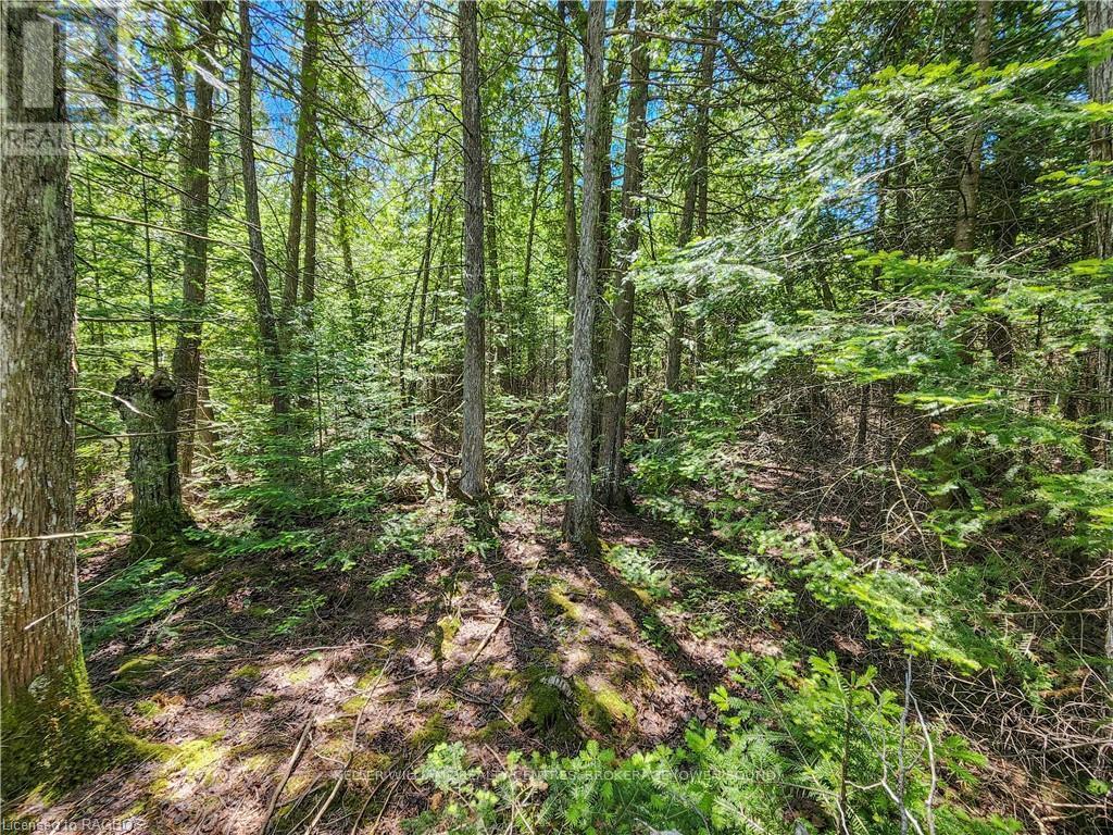 Lot 13 Trillium Crossing, Northern Bruce Peninsula, Ontario  N0H 1W0 - Photo 14 - X10848027