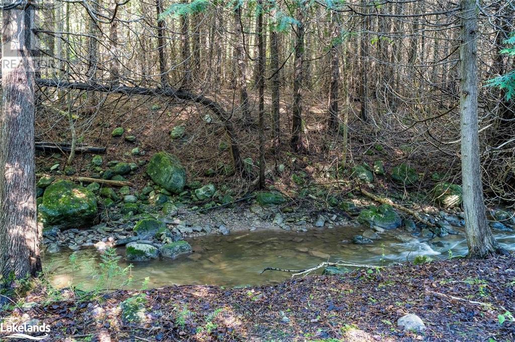 9450 County Road 9, Clearview, Ontario  L0M 1G0 - Photo 33 - S10439775