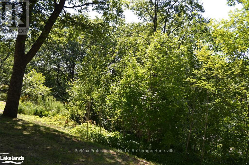 22 - 26 Herman Avenue, Huntsville, Ontario  P1H 1J6 - Photo 24 - X10439211