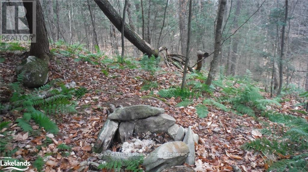 1898 Axe Lake Road, Mcmurrich/monteith, Ontario  P0A 1Y0 - Photo 22 - X11822756