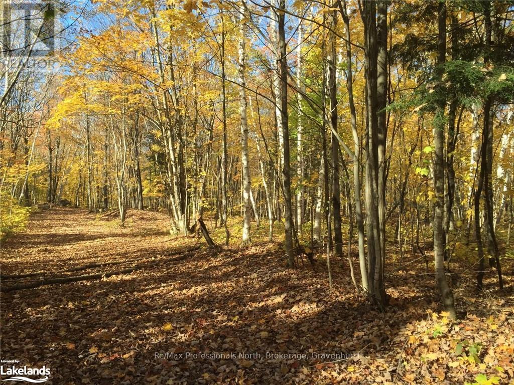 2180-2186 Highway 141, Muskoka Lakes, Ontario  P0B 1M0 - Photo 2 - X10440262