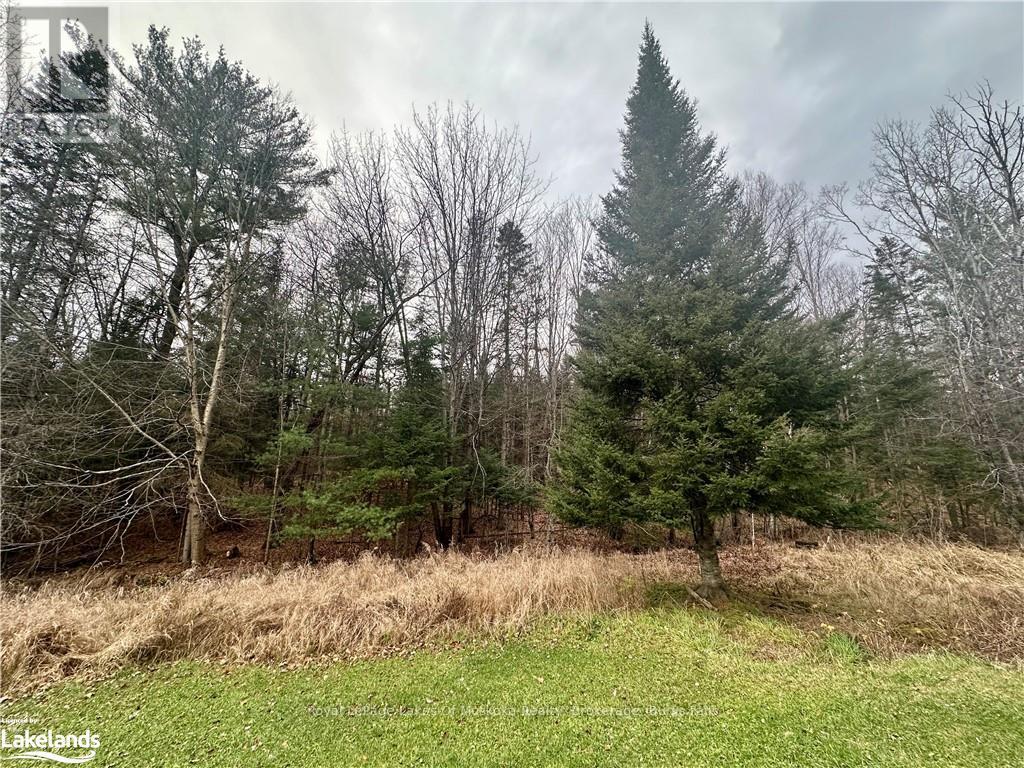 112 Highway 510, Magnetawan, Ontario  P0A 1P0 - Photo 23 - X11823187