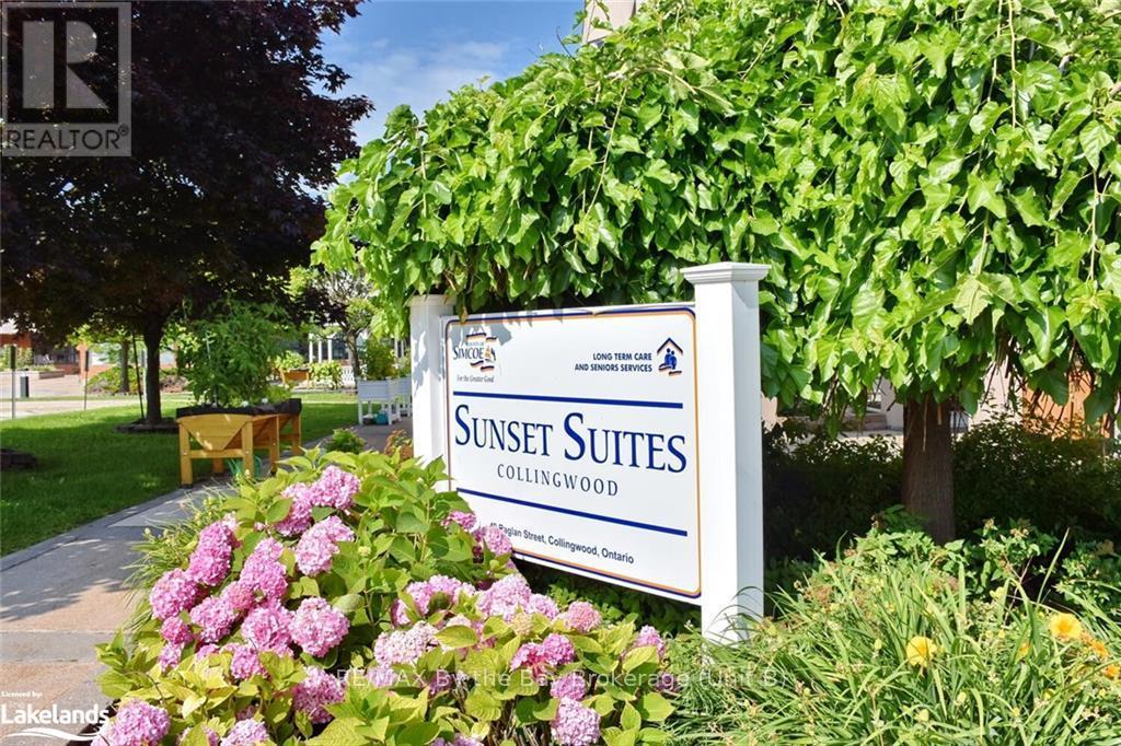 109 - 49 Raglan Street, Collingwood, Ontario  L9Y 4X1 - Photo 3 - S10434177