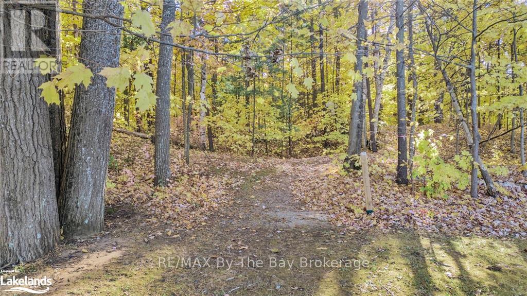 425 River Road W, Wasaga Beach, Ontario  L9Z 2X2 - Photo 40 - S10439783