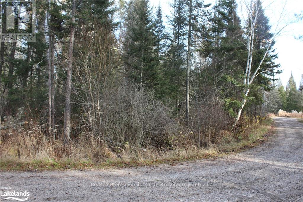 0 Bucko Mcdonald Drive, Strong, Ontario  P0A 1Z0 - Photo 2 - X10437249