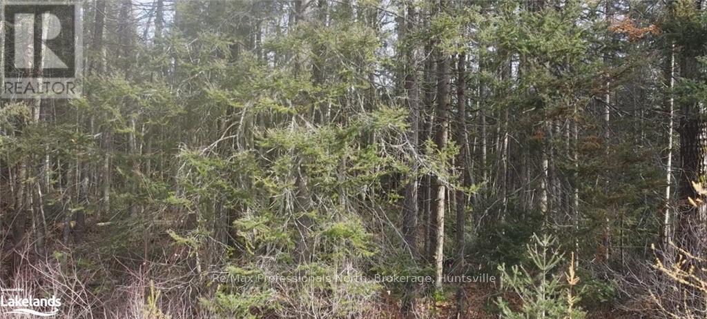 0 Bucko Mcdonald Drive, Strong, Ontario  P0A 1Z0 - Photo 5 - X10437249