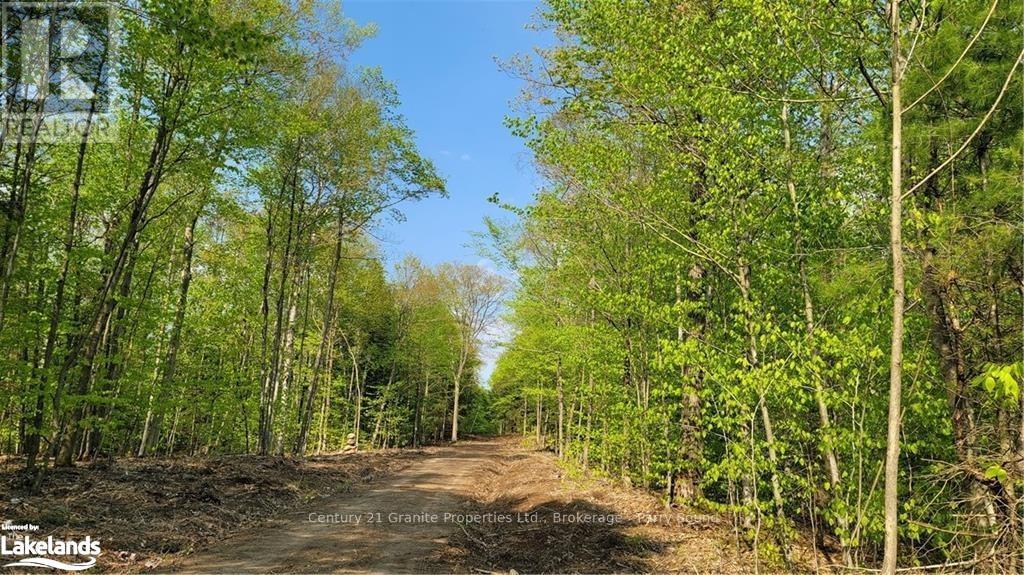 Lot 3 Louisa Street, Parry Sound, Ontario  P2A 3C1 - Photo 13 - X10438948