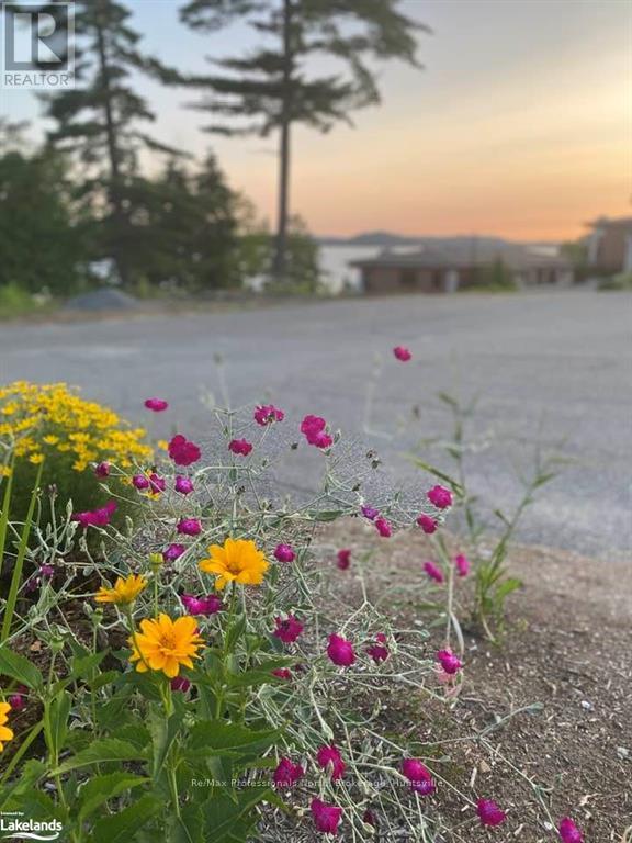 5211 Grandview Signatures Drive, Huntsville, Ontario  P1H 2N1 - Photo 27 - X11823082