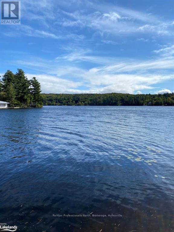 5211 Grandview Signatures Drive, Huntsville, Ontario  P1H 2N1 - Photo 31 - X11823082