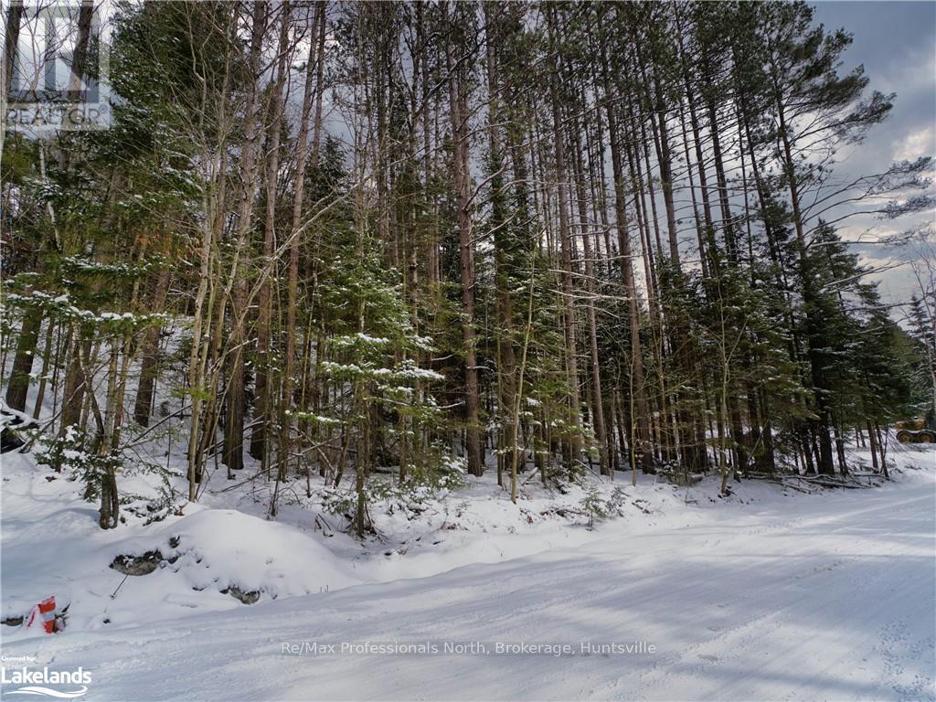 75 Balsam Chutes Road, Huntsville, Ontario  P0B 1L0 - Photo 2 - X11823149