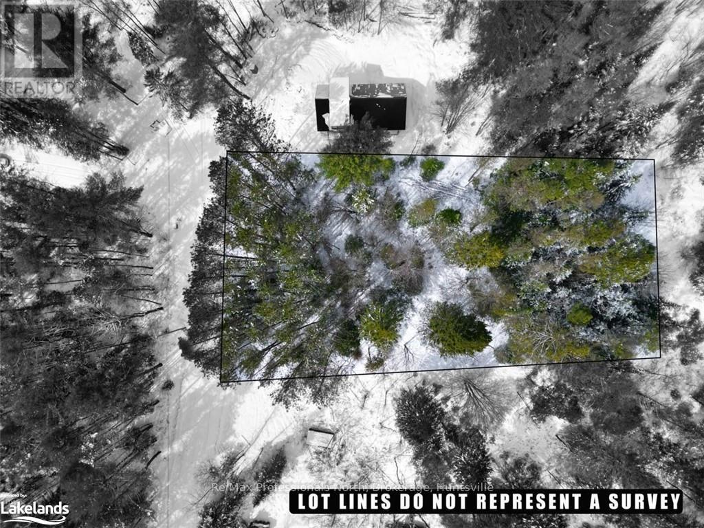 75 Balsam Chutes Road, Huntsville, Ontario  P0B 1L0 - Photo 4 - X11823149