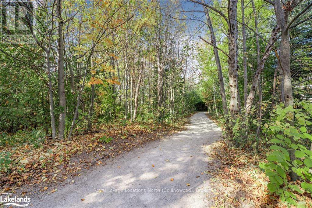 201 - 4 Brandy Lane Drive, Collingwood, Ontario  L9Y 0X4 - Photo 35 - S10438658