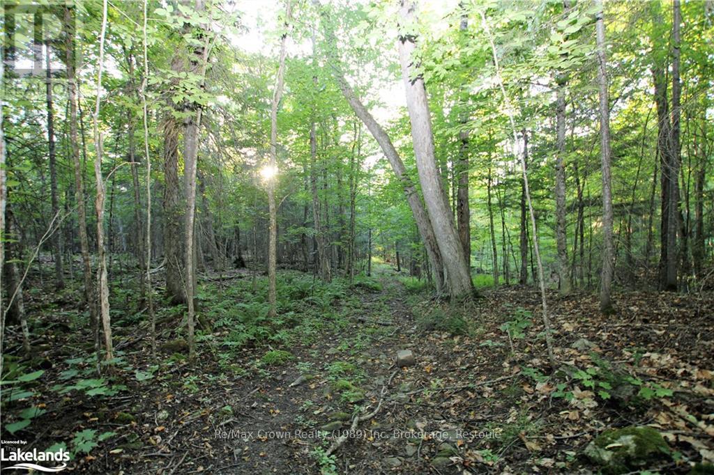 0a Pilgers Road, Nipissing, Ontario  P0H 1W0 - Photo 19 - X10439411