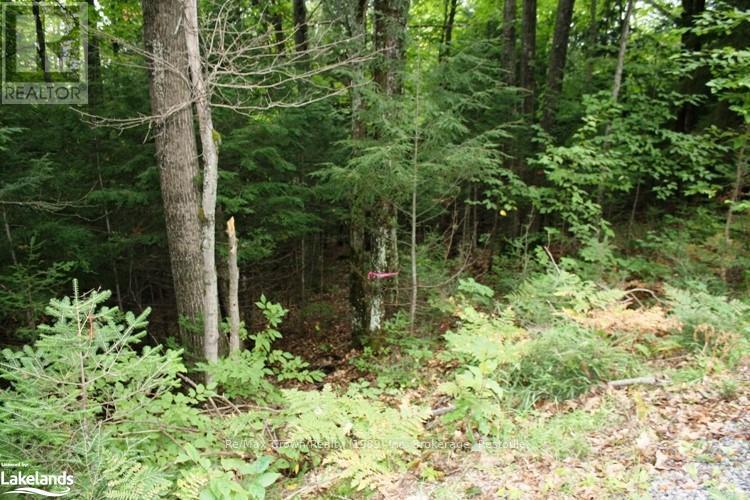 0a Pilgers Road, Nipissing, Ontario  P0H 1W0 - Photo 27 - X10439411