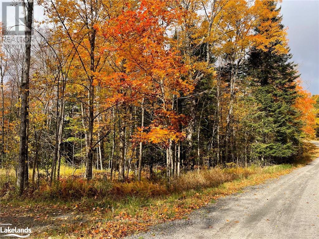 0a Pilgers Road, Nipissing, Ontario  P0H 1W0 - Photo 3 - X10439411