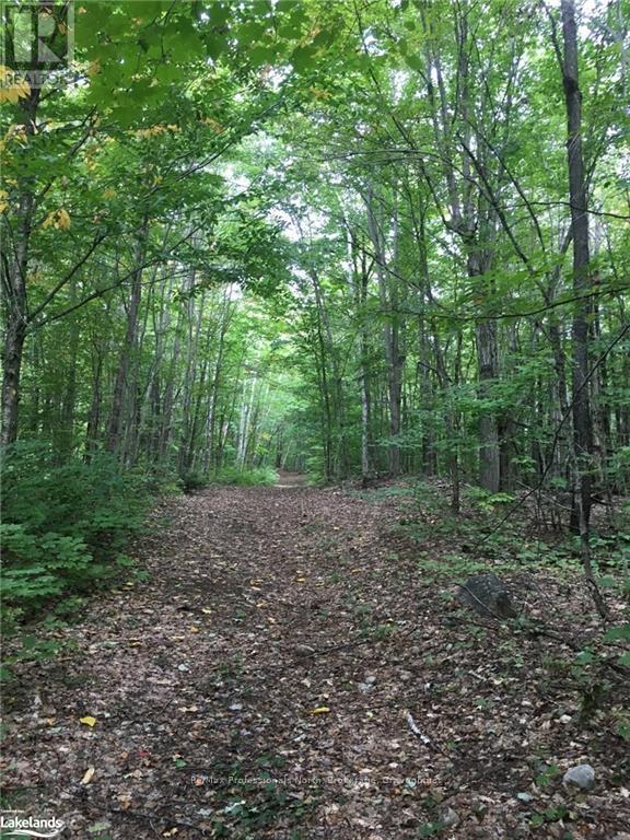 2180-2186 Highway 141, Muskoka Lakes, Ontario  P0B 1L0 - Photo 27 - X10440277