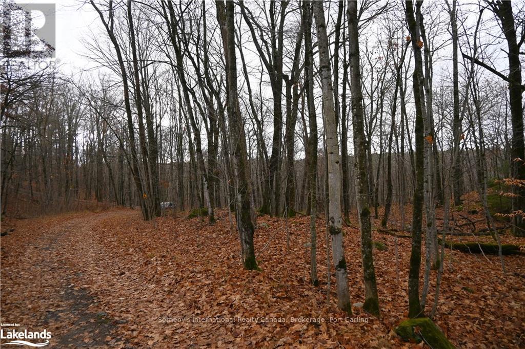 25 Lake Ridge Road, Mcdougall, Ontario  P2A 2W9 - Photo 14 - X11822985