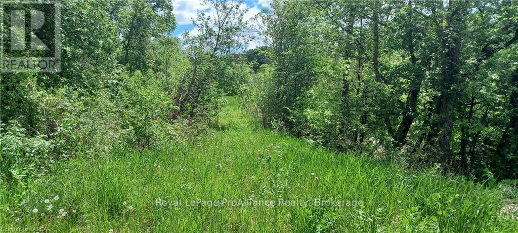 5405 Petworth Road, Frontenac (47 - Frontenac South), Ontario  K0H 1V0 - Photo 15 - X9410487