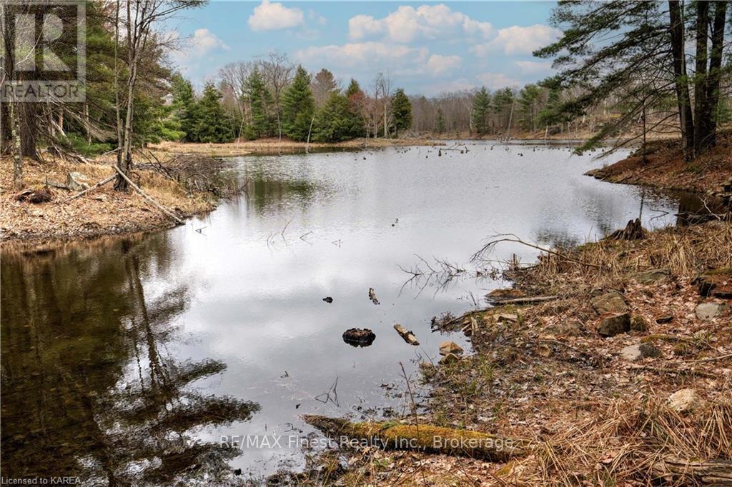 Old Sulphide Road, Tweed, Ontario  K0K 3A0 - Photo 24 - X9410897