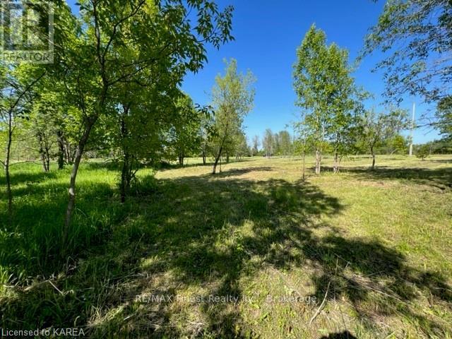 Pt Lt 14 Little Creek Road, Greater Napanee (Greater Napanee), Ontario  K7R 3K7 - Photo 19 - X9413219