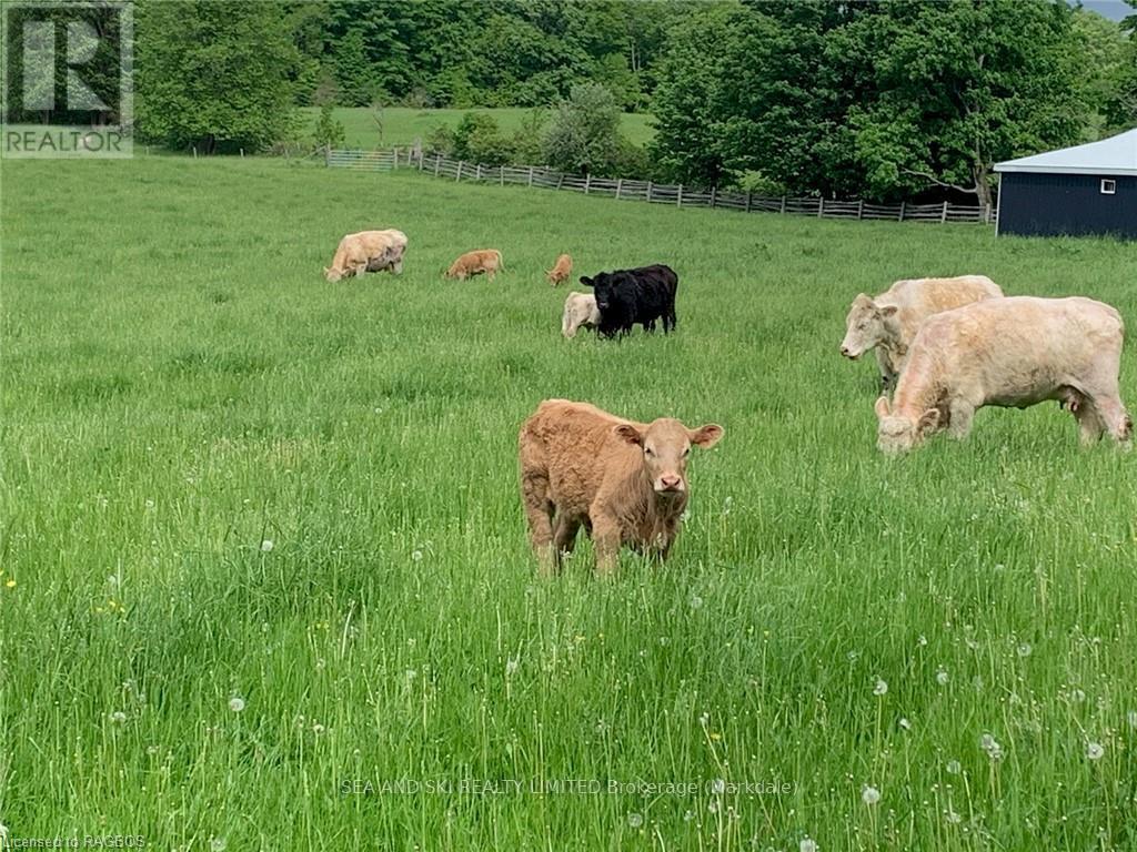 614506 Hamilton Lane, West Grey, Ontario  N0C 1H0 - Photo 39 - X10846272