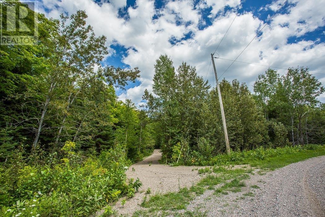 Lot 25 Richmond Bay Rd, Hilton Township, St. Joseph Island, Ontario  P0R 1G0 - Photo 6 - SM133143