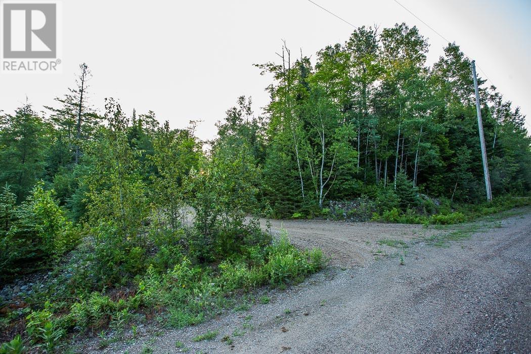 Lot 27 Richmond Bay Rd, Hilton Township, St. Joseph Island, Ontario  P0R 1G0 - Photo 10 - SM133145