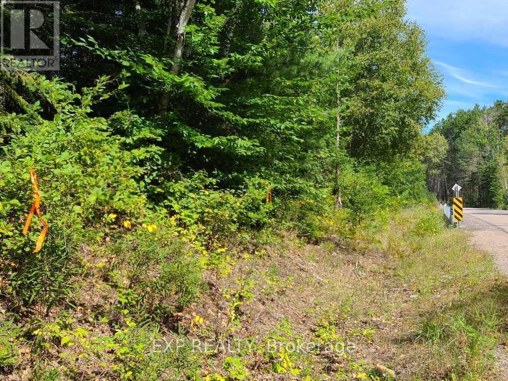 Pt Lt 8 Old Barrys Bay Road, Madawaska Valley, Ontario  K0J 1L0 - Photo 3 - X9461964