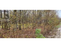 LOT 15 HOLLIE DRIVE, Lanark Highlands, Ontario