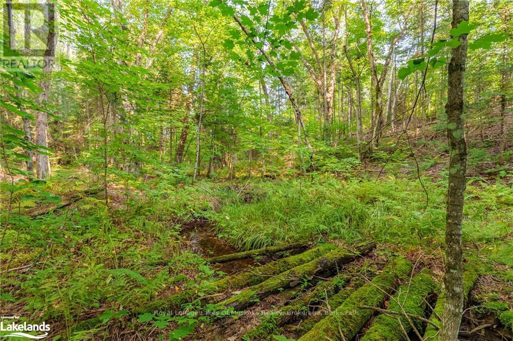 165 James Camp Road, Ryerson, Ontario  P0A 1C0 - Photo 37 - X10436776