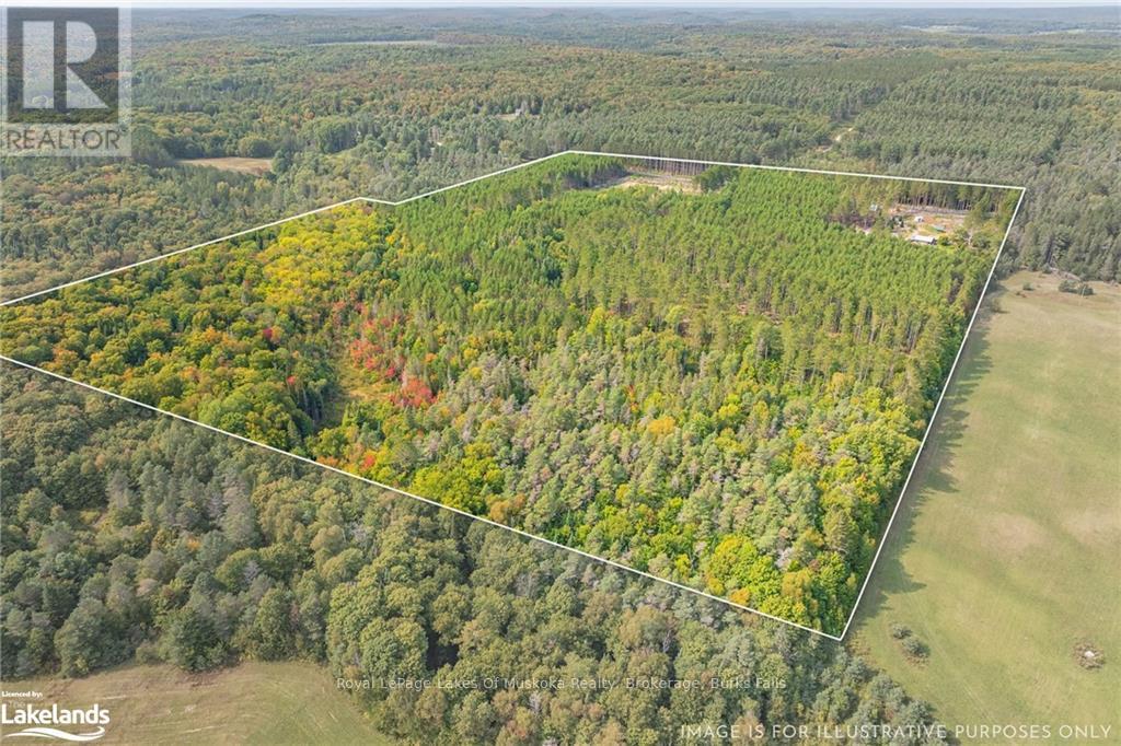 165 James Camp Road, Ryerson, Ontario  P0A 1C0 - Photo 40 - X10436776