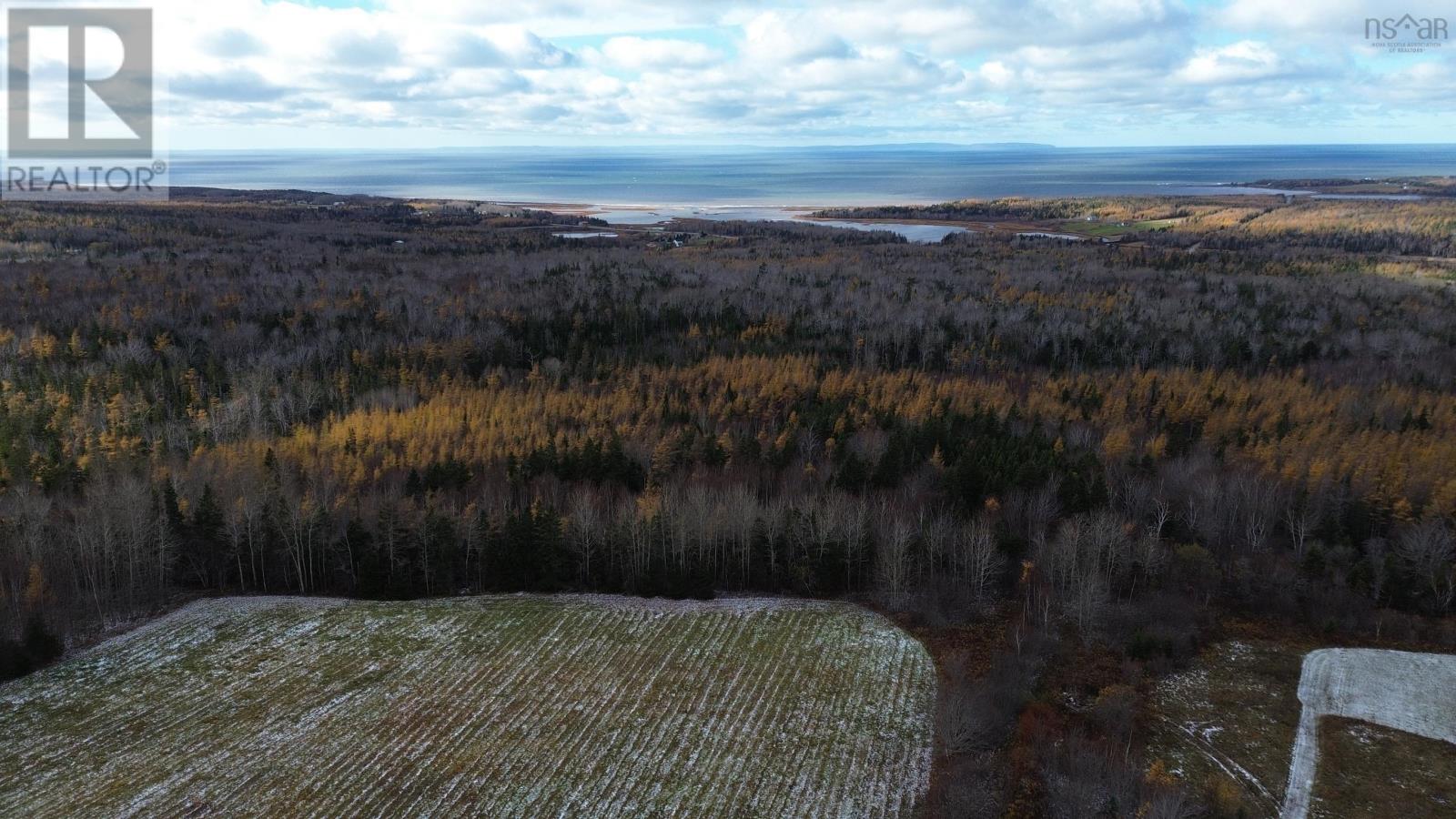 Acreage Mill Brook Road, Judique North, Nova Scotia  B0E 1P0 - Photo 14 - 202425594