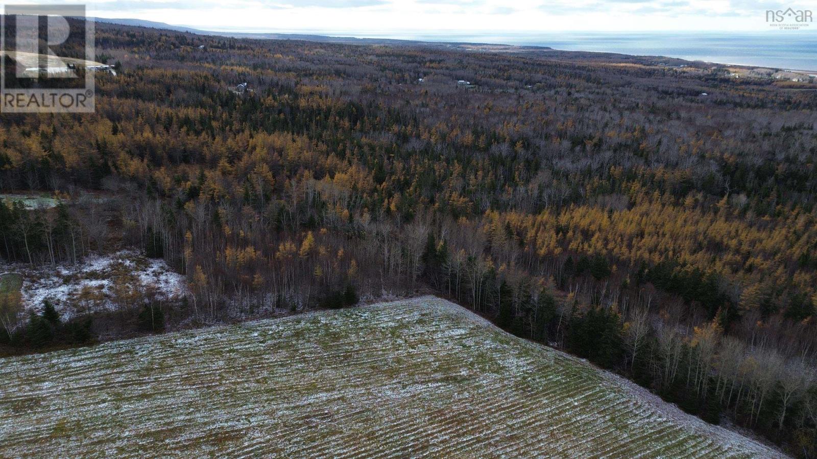 Acreage Mill Brook Road, Judique North, Nova Scotia  B0E 1P0 - Photo 15 - 202425594