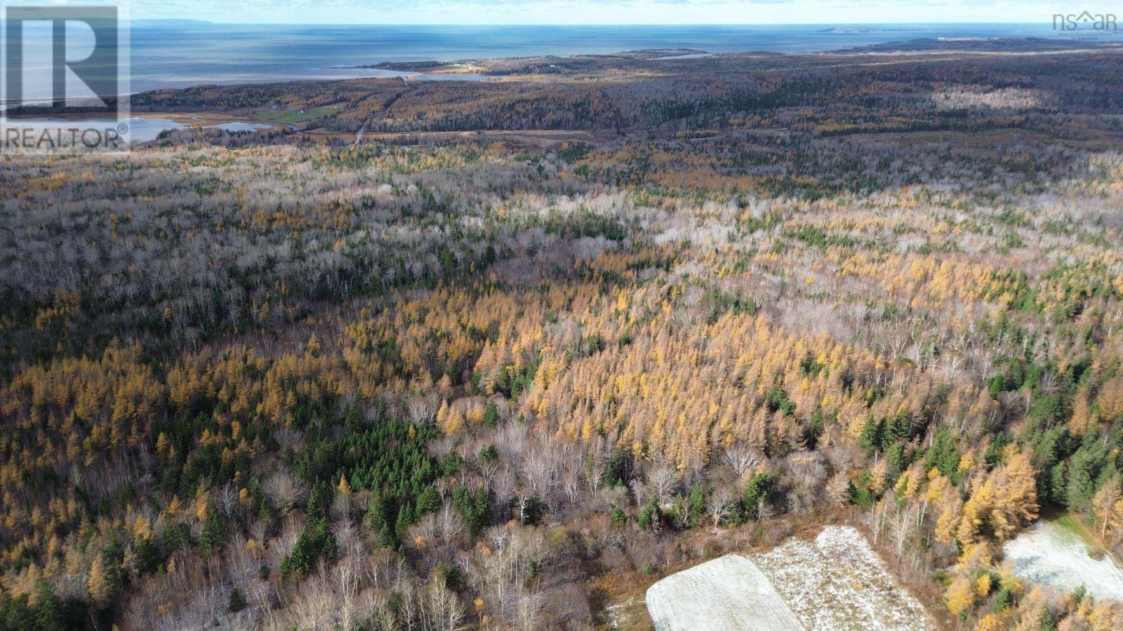 Acreage Mill Brook Road, Judique North, Nova Scotia  B0E 1P0 - Photo 2 - 202425594