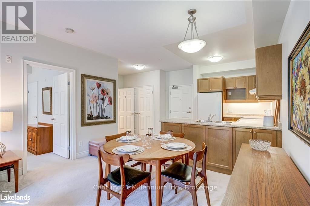 205 - 91 Raglan Street, Collingwood, Ontario  L9Y 4V3 - Photo 19 - S10438073