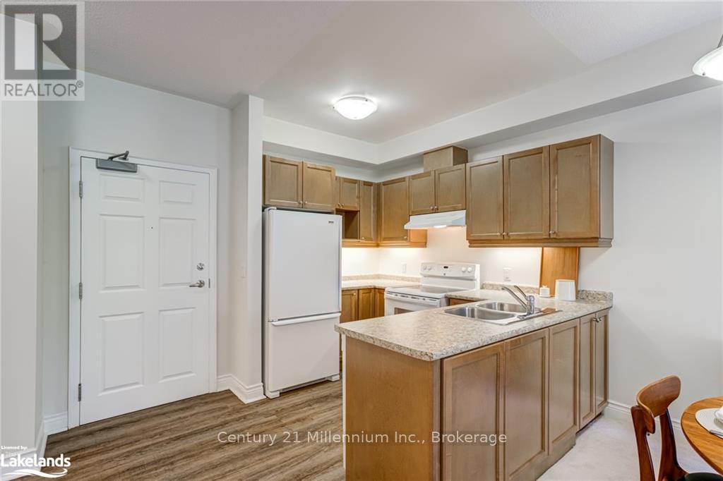 205 - 91 Raglan Street, Collingwood, Ontario  L9Y 4V3 - Photo 20 - S10438073