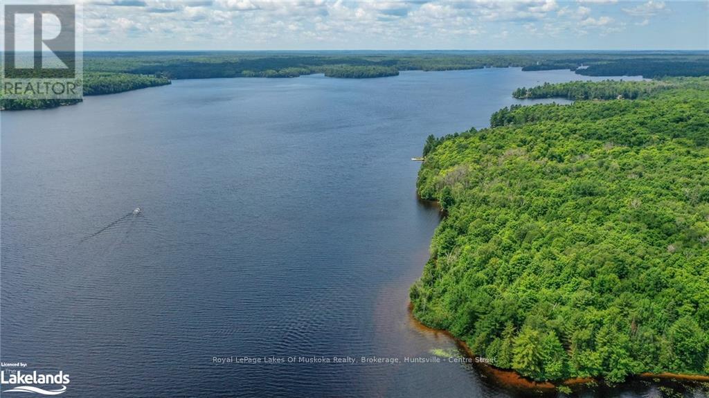 226 Chikopi Road, Magnetawan, Ontario  P0A 1P0 - Photo 39 - X10436884