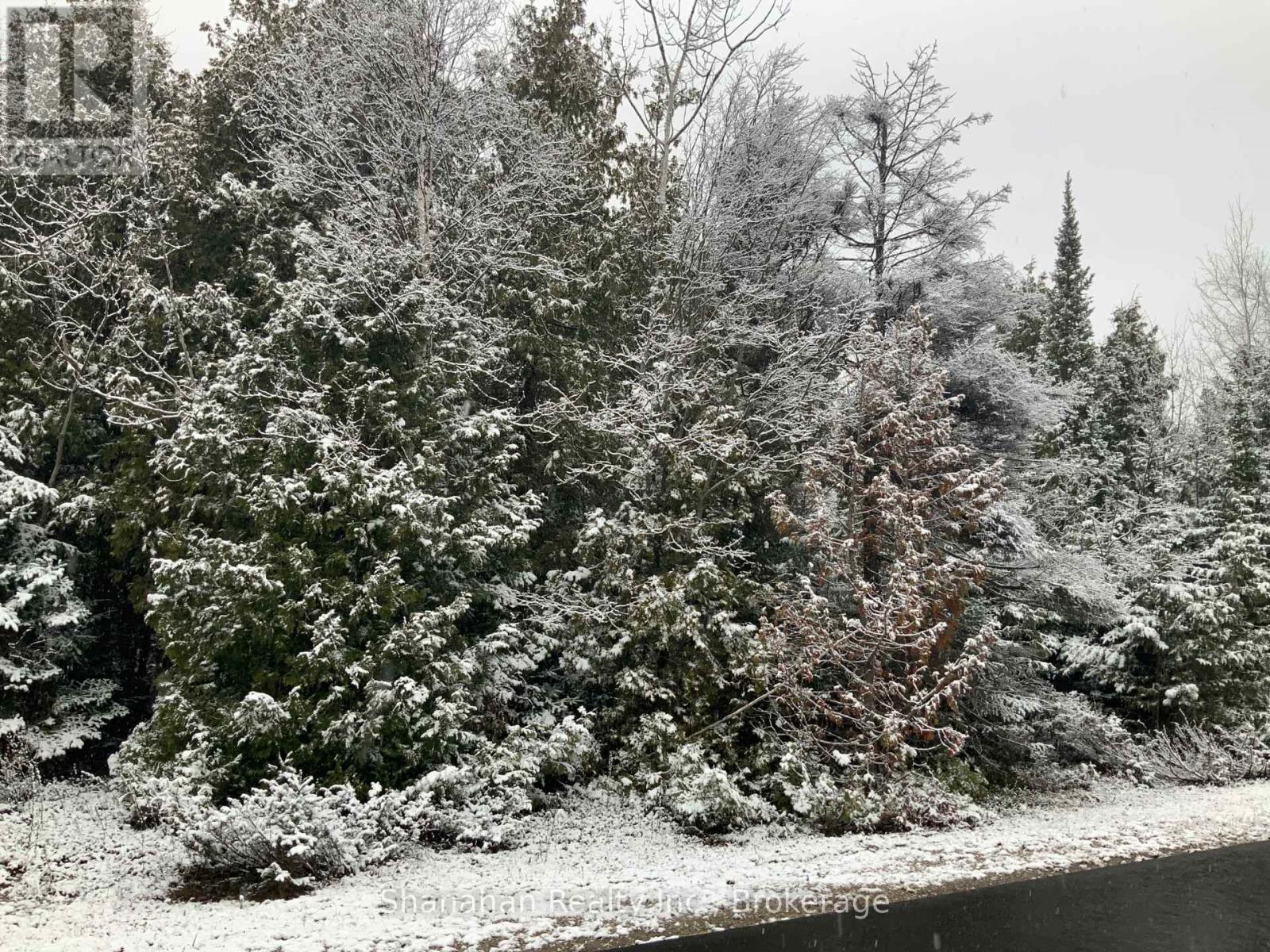 Lot 11 Norburn Road, Northern Bruce Peninsula, Ontario  N0H 2R0 - Photo 3 - X11889598