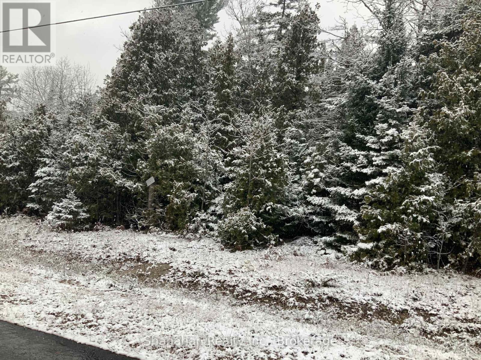 Lot 11 Norburn Road, Northern Bruce Peninsula, Ontario  N0H 2R0 - Photo 6 - X11889598