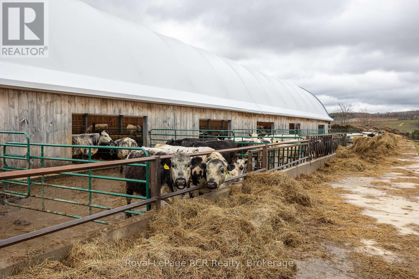 204117 Highway 26, Meaford, Ontario  N4K 5W4 - Photo 11 - X11889634