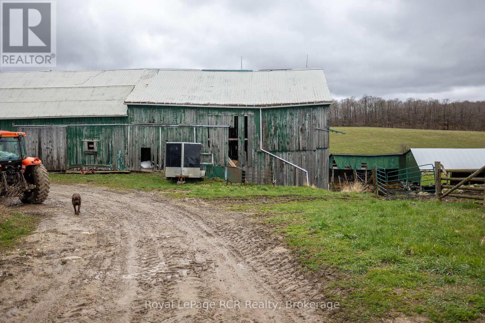 204117 Highway 26, Meaford, Ontario  N4K 5W4 - Photo 37 - X11889634