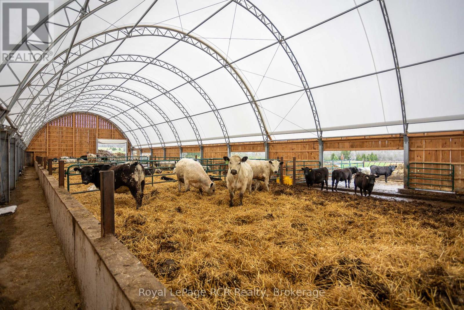 204117 Highway 26, Meaford, Ontario  N4K 5W4 - Photo 8 - X11889634